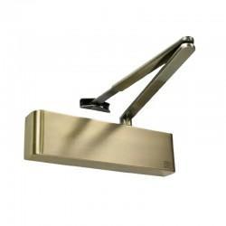 TS.9205 door closer with backcheck and delayed action - antique brass