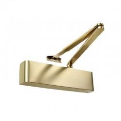 TS.9205 door closer with backcheck and delayed action - satin brass