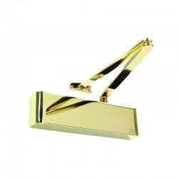 TS.9205 door closer with backcheck and delayed action - polished brass