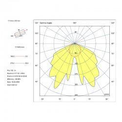 Polar Diagram For Bulkhead Emergency Light
