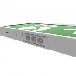 Emergency Light Box With Downlight