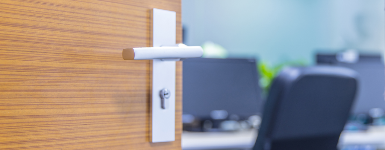 Backplate door handle on an office door