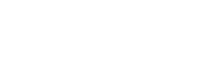 AIJ white logo